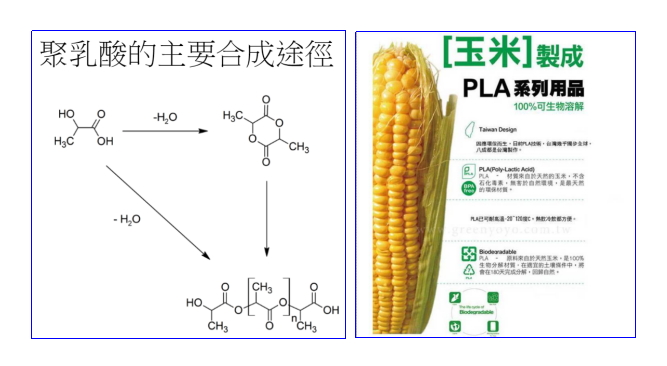 球速体育科技