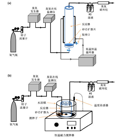 球速体育科技