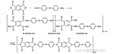 球速体育科技