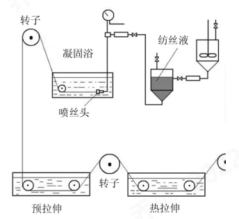 球速体育科技