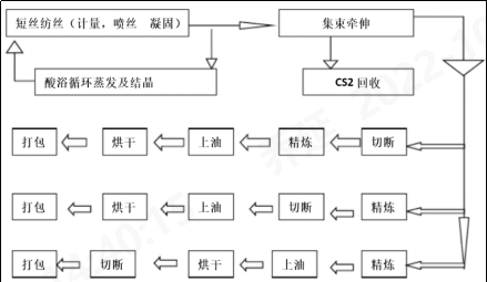 球速体育科技