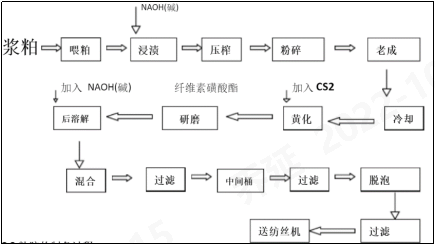球速体育科技
