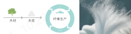 球速体育科技