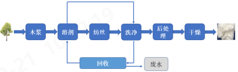 球速体育科技