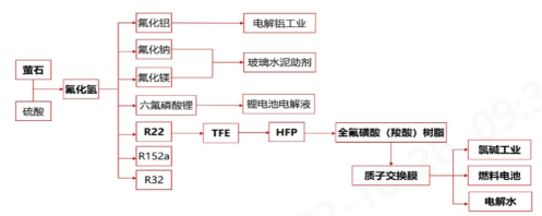 球速体育科技