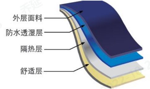 球速体育科技