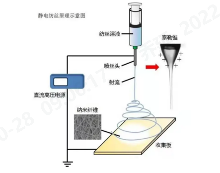 球速体育科技